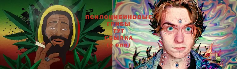 Псилоцибиновые грибы Cubensis  купить   Воркута 